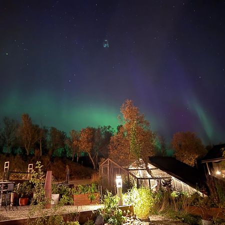 Håkøya Lodge Tromsø Eksteriør bilde
