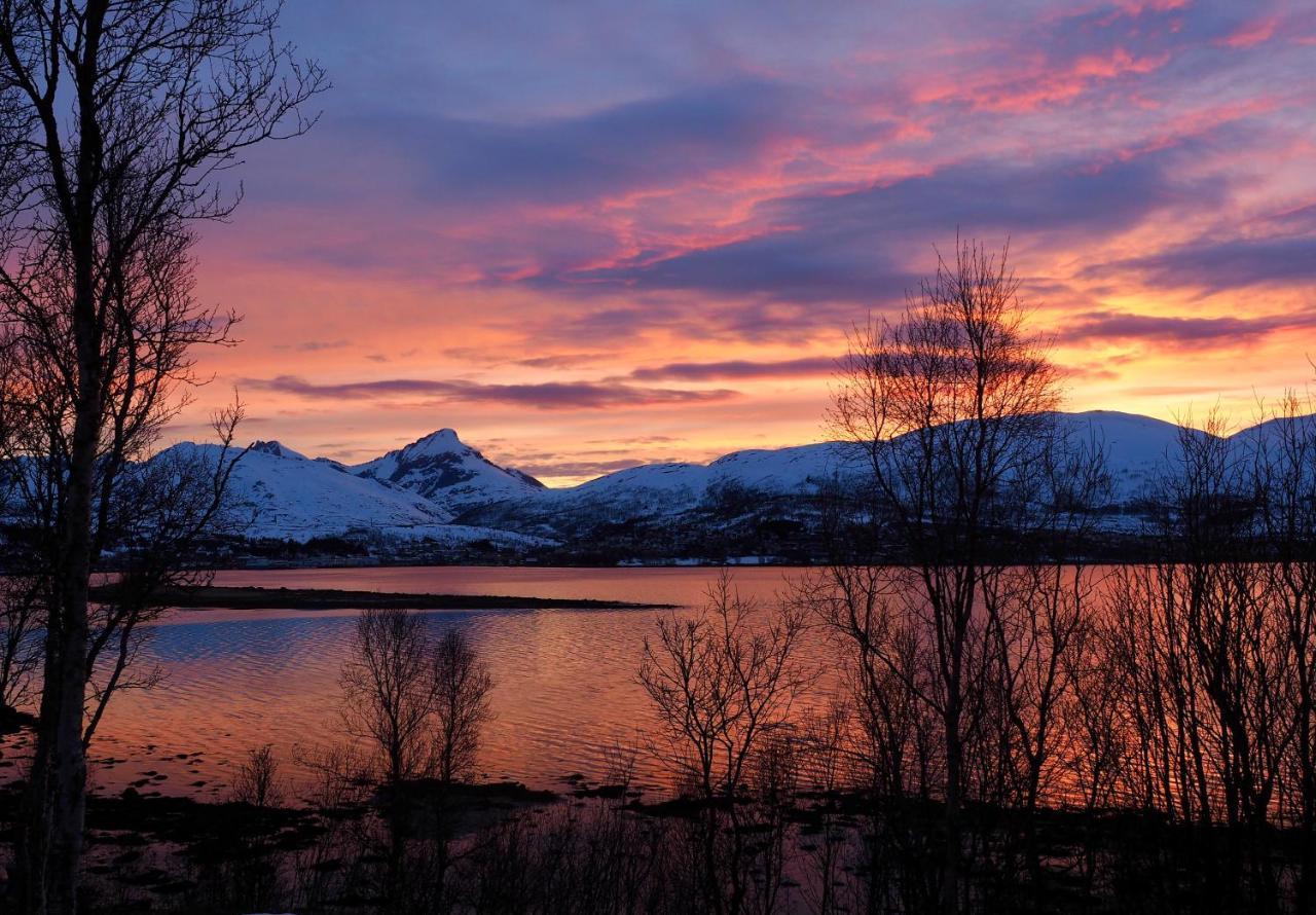Håkøya Lodge Tromsø Eksteriør bilde