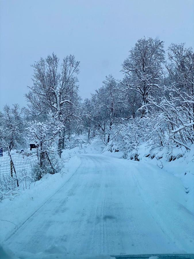 Håkøya Lodge Tromsø Eksteriør bilde
