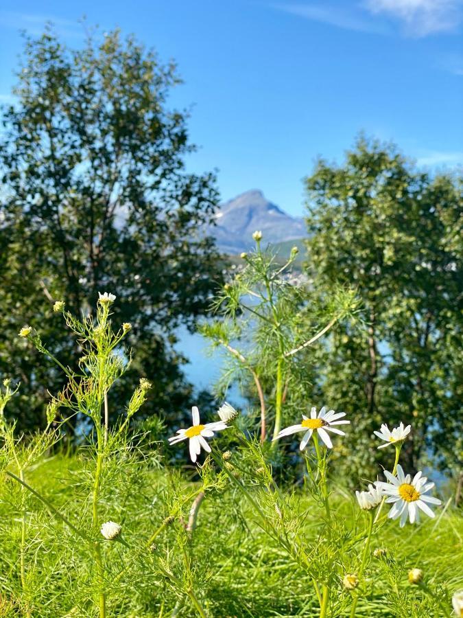 Håkøya Lodge Tromsø Eksteriør bilde