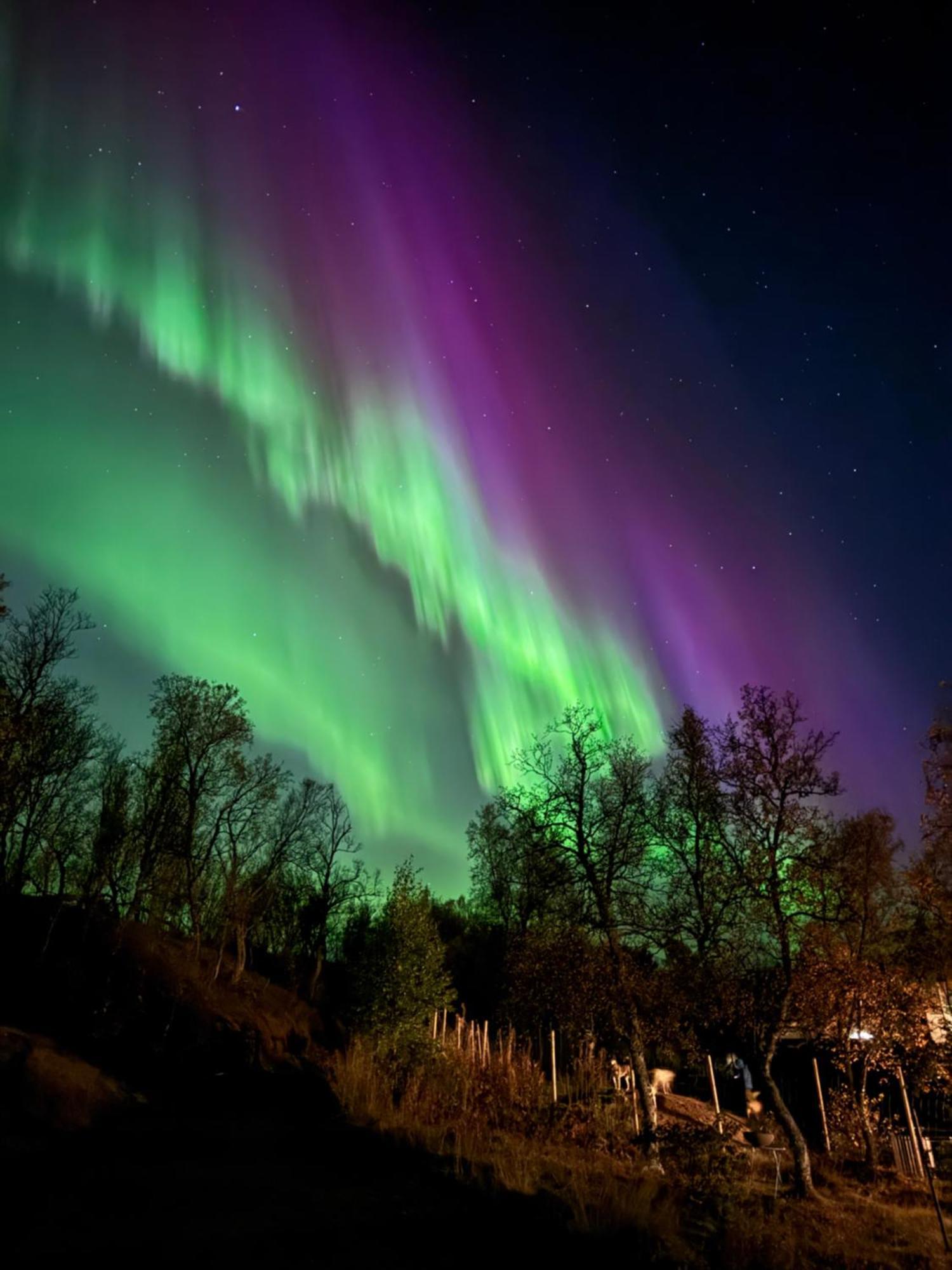 Håkøya Lodge Tromsø Eksteriør bilde
