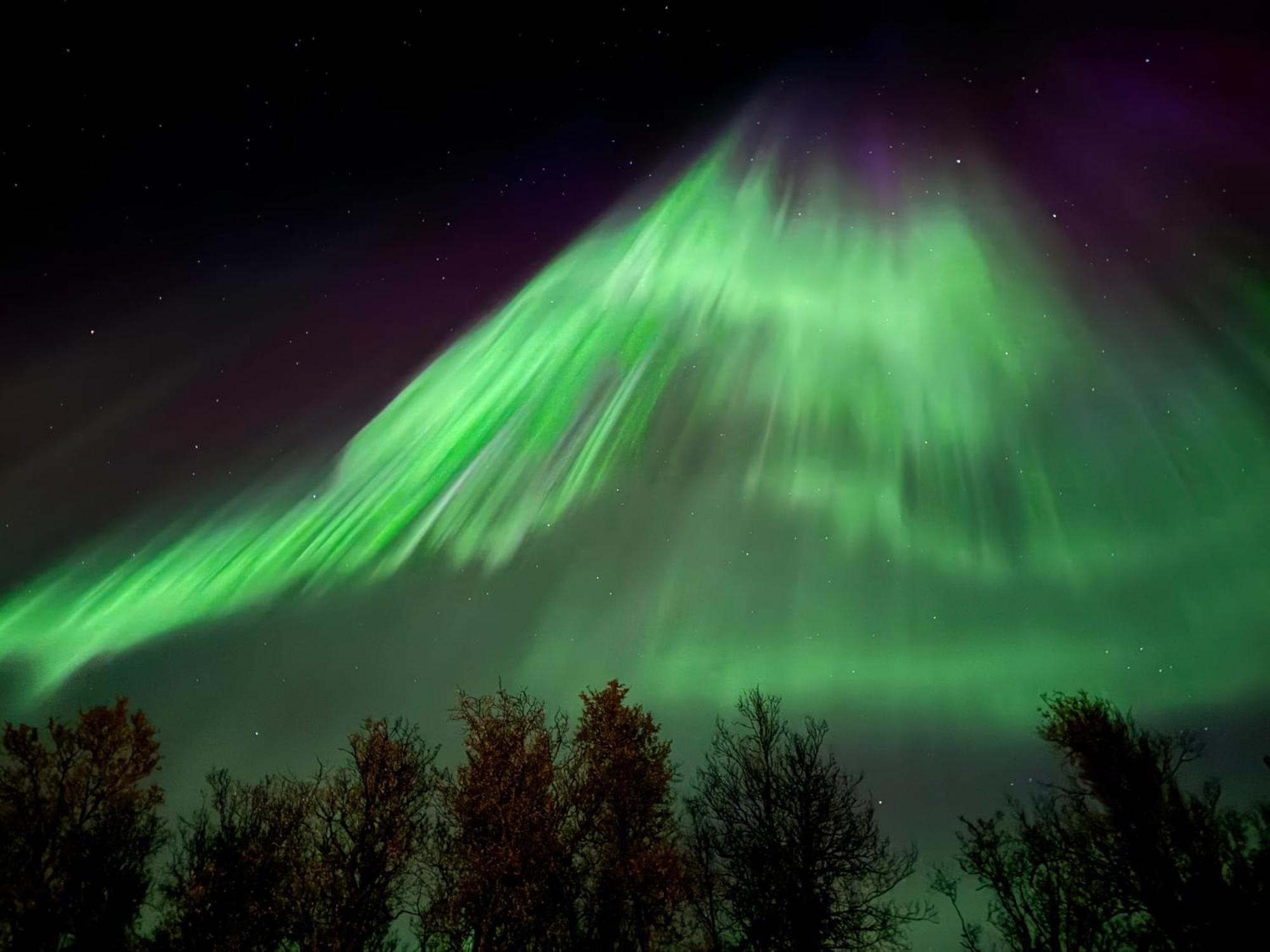 Håkøya Lodge Tromsø Eksteriør bilde